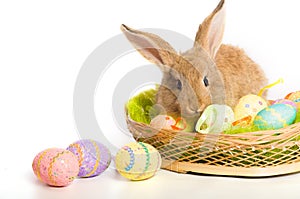 Easter bunny with basket and eggs