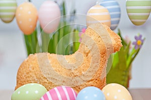 Easter Bunny Cake