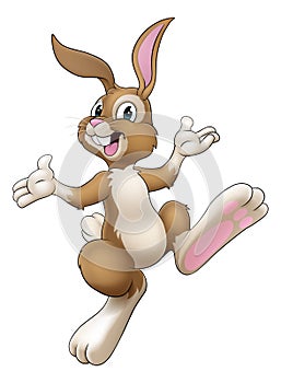 Easter Bunny Cartoon Rabbit Illustration