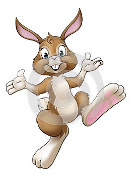 Easter Bunny Cartoon Rabbit Illustration