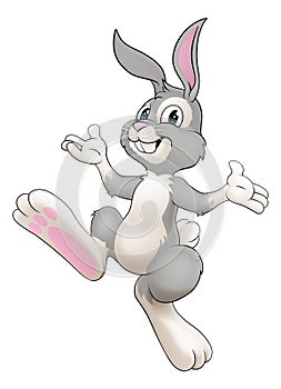 Easter Bunny Cartoon Rabbit Illustration