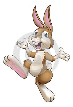 Easter Bunny Cartoon Rabbit Illustration