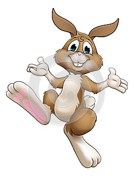 Easter Bunny Cartoon Rabbit Illustration