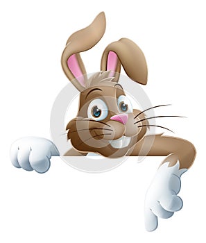 Easter Bunny Cartoon Sign