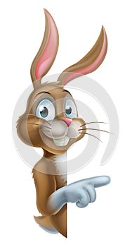 Easter Bunny Character Pointing photo
