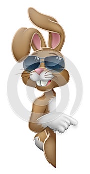 Easter Bunny Cool Rabbit Pointing Cartoon