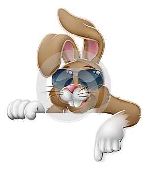 Easter Bunny Cool Rabbit Pointing Cartoon photo