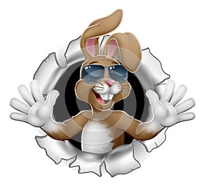 Easter Bunny Cool Rabbit Sunglasses Breaking Wall