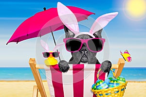 Easter bunny dog at the beach