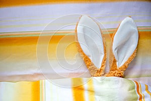 Easter bunny ears in bed under bedsheets