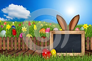 Easter bunny ears behind meadow blackboard