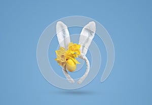 Easter bunny ears isolated on blue background