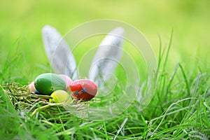 Easter bunny and Easter eggs on green grass outdoor Colorful eggs in the nest basket and ear rabbit on field