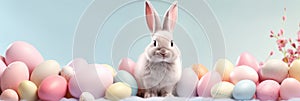 Easter bunny and easter eggs on pastel background. Banner 3:1