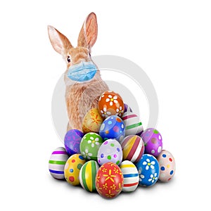 Easter Bunny or Easter Rabbit scared of Coronavirus or Covid-19 pandemic with surgical mask hiding and peeking behind a pile of