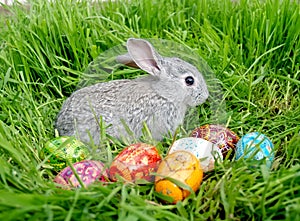 Easter bunny eggs