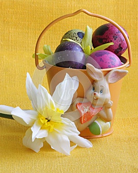 Easter bunny , eggs and flower - Stock photos