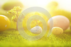 Easter bunny with eggs on meadow in spring. Close-up.