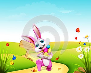 Easter bunny eggs & wooden sign