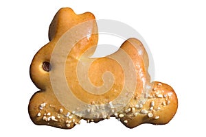 Easter bunny in front of a white background