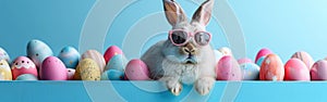 Easter Bunny in Gift Box with Colorful Eggs - Holiday Greeting Card