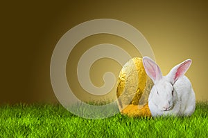 Easter bunny and golden egg