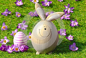 Easter bunny on green grass