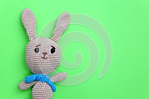 Easter Bunny on light green background