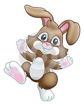 Easter Bunny Rabbit Cartoon