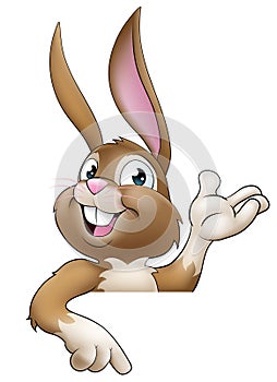 Easter Bunny Rabbit Cartoon Character Peeking Sign