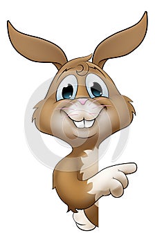 Easter Bunny Rabbit Cartoon Character Peeking Sign