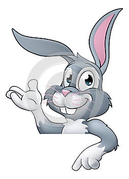 Easter Bunny Rabbit Cartoon Character Peeking Sign