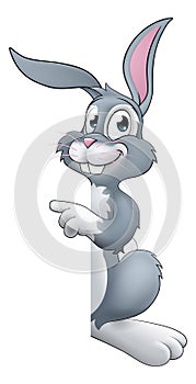 Easter Bunny Rabbit Cartoon Character Peeking Sign