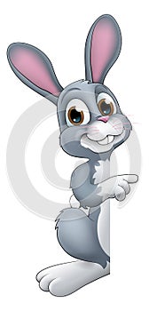 Easter Bunny Rabbit Cartoon Character Peeking Sign