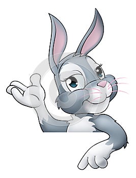 Easter Bunny Rabbit Cartoon Character Peeking Sign