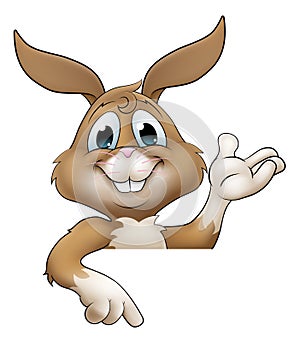 Easter Bunny Rabbit Cartoon Character Peeking Sign