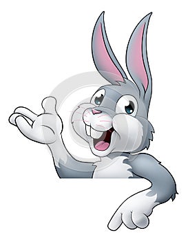 Easter Bunny Rabbit Cartoon Character Peeking Sign