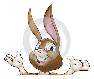 Easter Bunny Rabbit Cartoon Character Peeking Sign