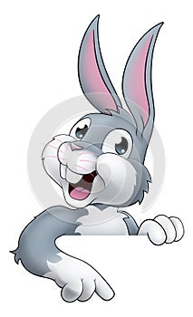 Easter Bunny Rabbit Cartoon Character Peeking Sign photo