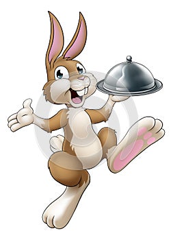 Easter Bunny Rabbit Cartoon Food Tray Cloche Chef photo