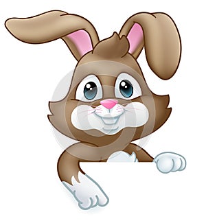 Easter Bunny Rabbit Cartoon Sign