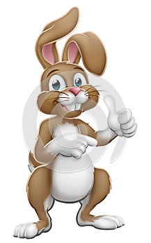 Easter Bunny Rabbit Cartoon Thumbs Up and Pointing