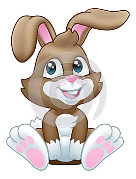 Easter Bunny Rabbit Cartoon