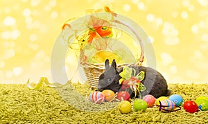 Easter bunny rabbit and holiday basket eggs