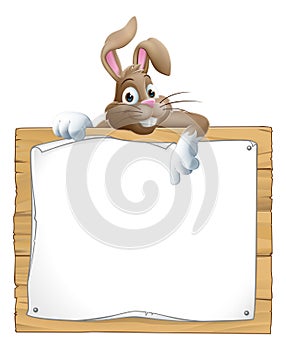 Easter Bunny Rabbit Peeking Over Sign Pointing