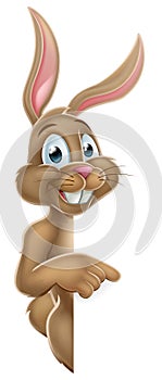 Easter Bunny Rabbit Pointing Cartoon