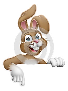 Easter Bunny Rabbit Pointing Cartoon at Sign