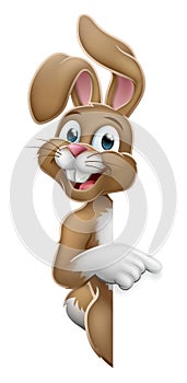 Easter Bunny Rabbit Pointing Cartoon at Sign