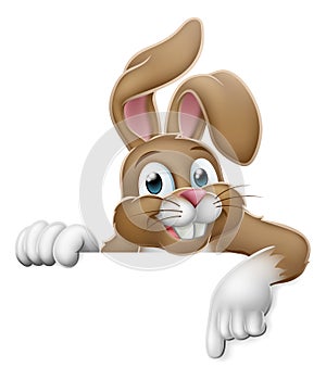 Easter Bunny Rabbit Pointing Cartoon at Sign