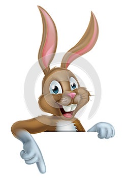 Easter Bunny Rabbit Sign